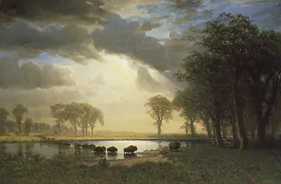 The Buffalo Trail Albert Bierstadt
